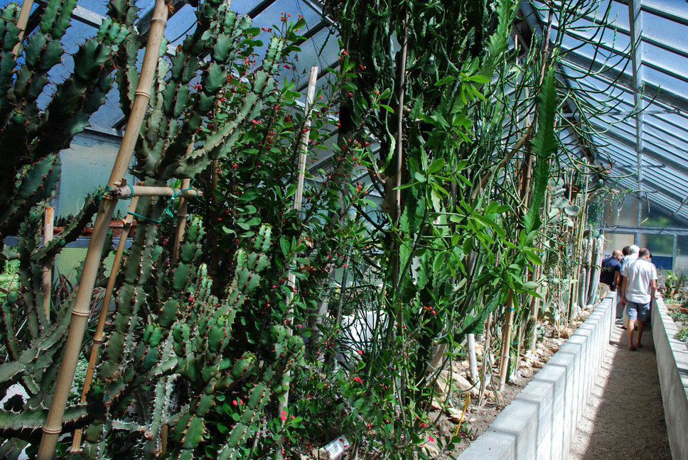 Orto Botanico_184.JPG